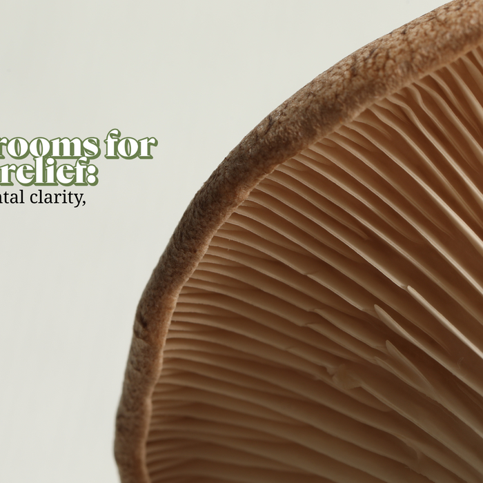 Mushrooms for Stress Relief: Nature’s Adaptogen for Mental Clarity